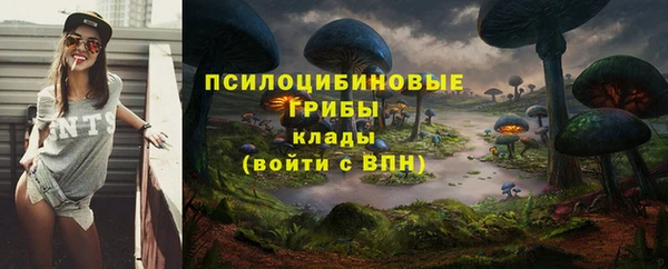 мет Баксан