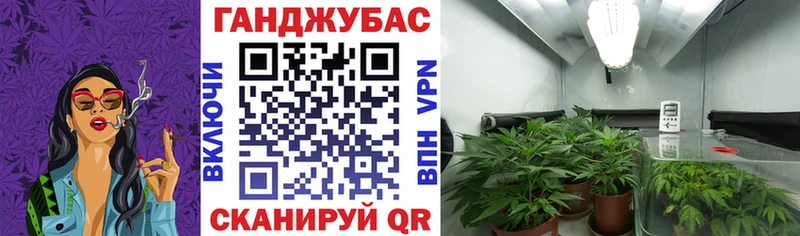 OMG как зайти  Калининец  МАРИХУАНА OG Kush 